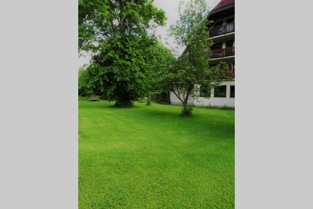 Modernes Apartment Mit Traumhaftem Blick Ins Gruene Braunlingen Екстер'єр фото