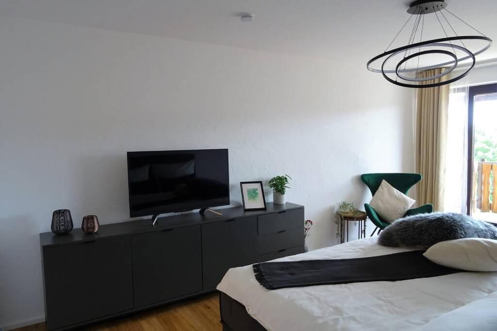 Modernes Apartment Mit Traumhaftem Blick Ins Gruene Braunlingen Екстер'єр фото